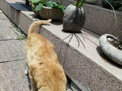 -曾福兴