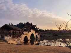 -上海海湾国家森林公园