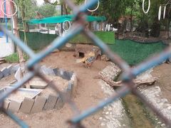 -陕西自然博物馆