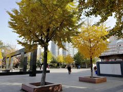 -丰台科技园生态主题公园