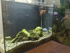 -琥珀咖啡 Ambercoffee