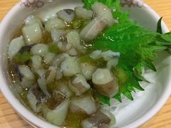 -富山日式料理(宽厚里店)
