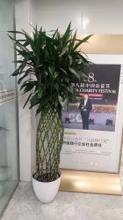 -悟空祛痘·诺奖技术专业店