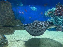 -成都浩海立方海洋公园