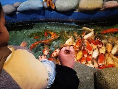 -常州海昌海洋探索馆
