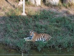 -宿豫区运河湾森林动物园