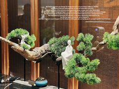 -闽和南(深圳万象城店)