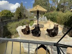 -云南野生动物园