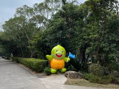-广东惠东海龟国家级自然保护区