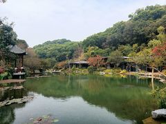 -云溪植物园