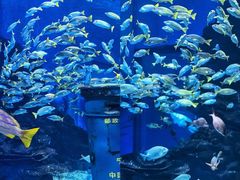 -海合安武汉极地海洋公园