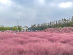 -嘉北郊野公园