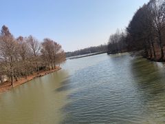 -上海海湾国家森林公园