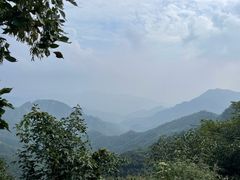 -大岭沟猕猴桃谷风景区