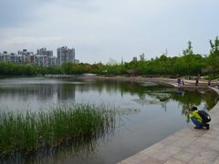-新江湾城公园