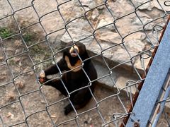 -石家庄市动物园