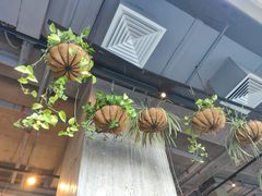-Wagas沃歌斯(五道口购物中心店)