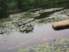 -白马涧龙池景区