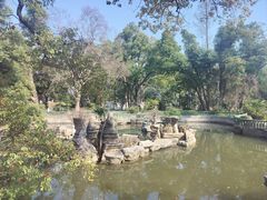 -东湖落雁景区