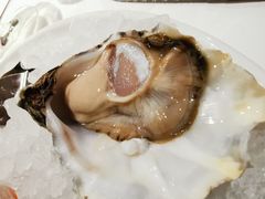 -Oyster Talks 四度蚝法餐厅