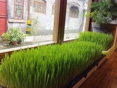 -朵朵开素食餐厅(后宰门街店)