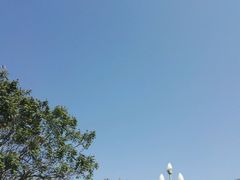 -萧邦音乐会所KTV·蒸汽活海鲜自助(福田店)