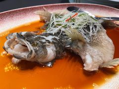 -曼格纳·曼芯馆(杨浦店)