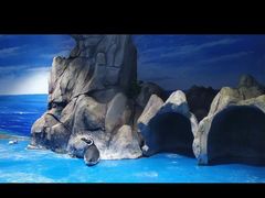 -青岛海底世界-水族馆