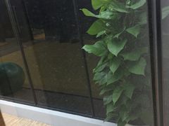 -Liking Fit24小时智能健身(金汇路韩国街店)