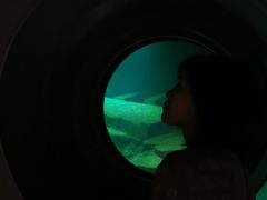 -白鹤梁水下博物馆