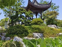 -上海滨江森林公园
