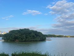 -海珠湖公园
