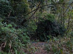 -梧桐山风景名胜区