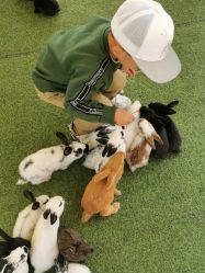 -萌宠亲子动物乐园(槐房万达店)