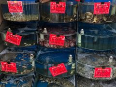 水产区-北戴河庆山饭店·海鲜砂锅粥(北戴河黑石路店)