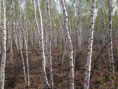 iphone_upload_pic-锦河大峡谷