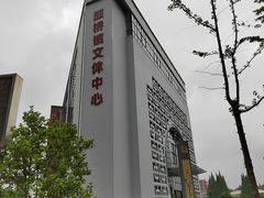 -颛桥镇文体中心-停车场
