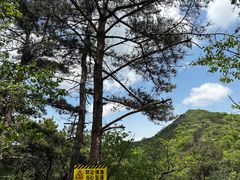 -金龙寺国家森林公园
