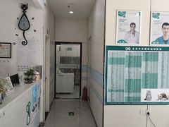 -中农国际动物医院24小时·猫科·骨科·急重症中心
