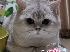 -美联众合动物医院·伴可分院·内科中心医院
