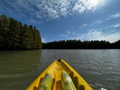 -上海海湾国家森林公园