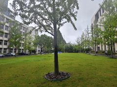 -上海对外经贸大学(古北校区)