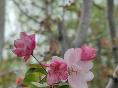 -台州府城(东湖)