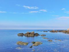 -海岛日记(养马岛店)