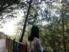 -千岛湖石林