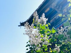 -广佑寺风景区