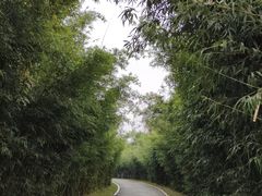 -木兰水镇旅游景区
