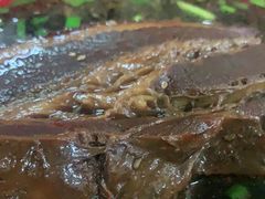 -小龙大肉面馆