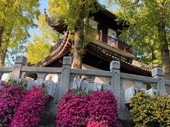 -汇龙潭