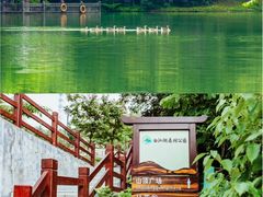 -广州白江湖森林公园